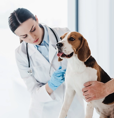 Karakeçili Veteriner