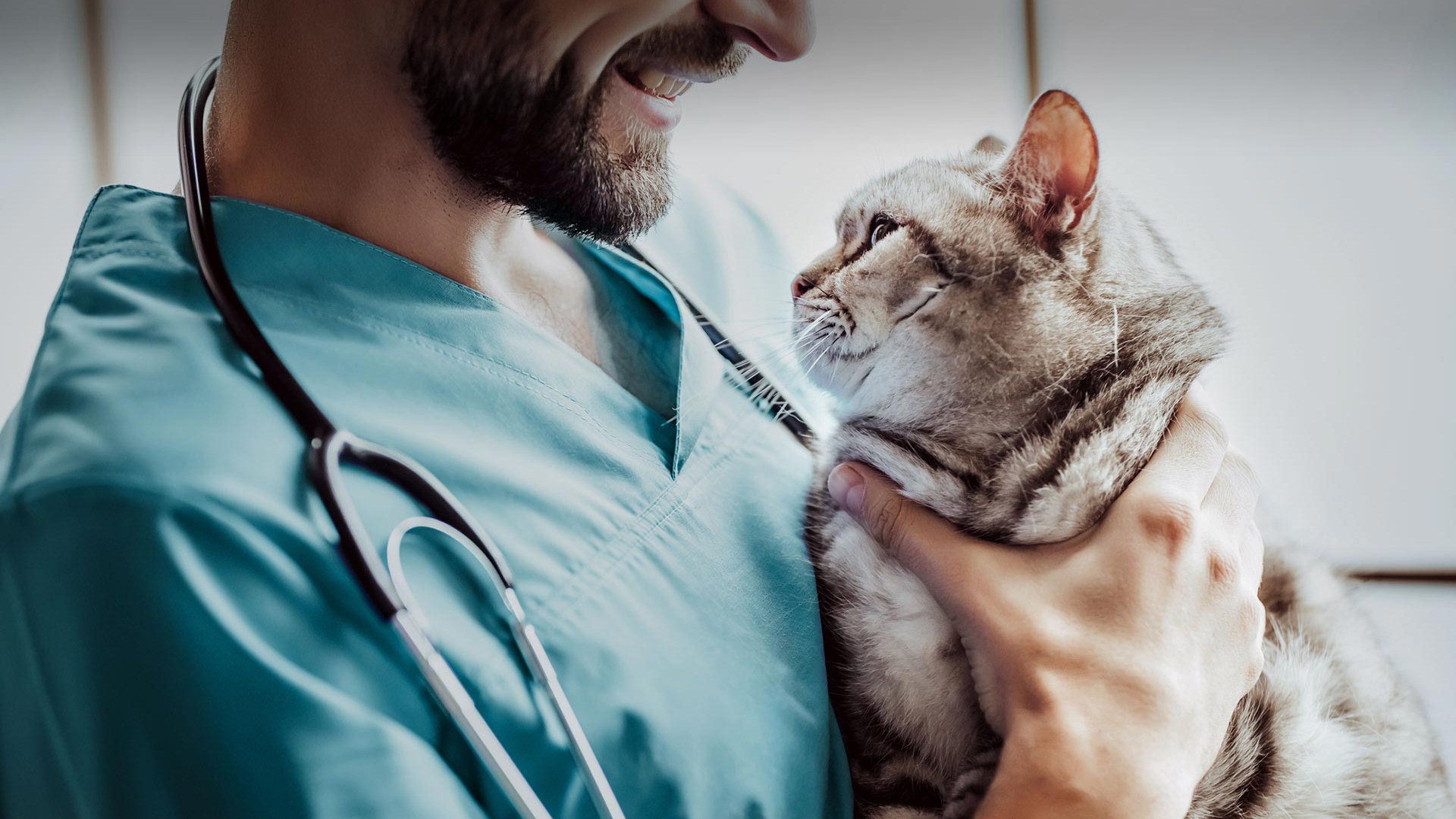 Karakeçili Veteriner